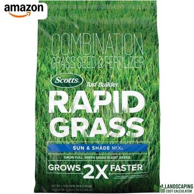 Seed (Scotts Turf Builder)