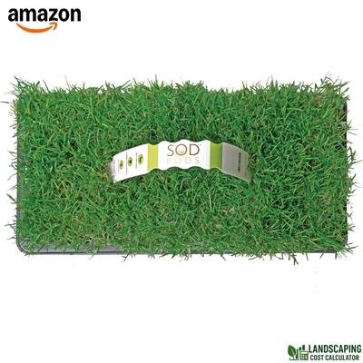 SodPods Bermuda Grass Plugs
